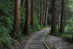 見晴懷苦步道