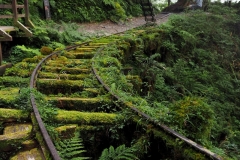 見晴懷苦步道
