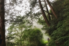 見晴懷苦步道