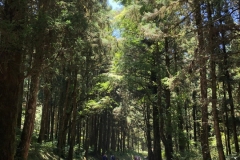 見晴懷苦步道