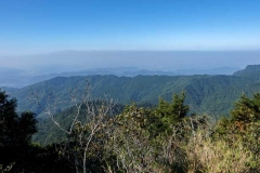 北得拉曼巨木步道