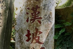 這張圖的重點在左下小不明顯的字
