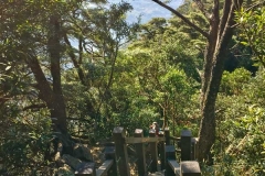 北得拉曼巨木步道