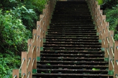地主帶跑行程