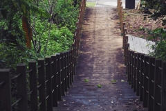 地主帶跑行程