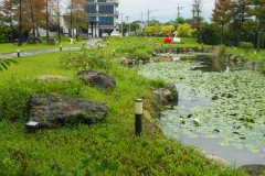 芊芊河畔民宿