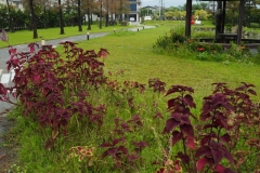 芊芊河畔民宿