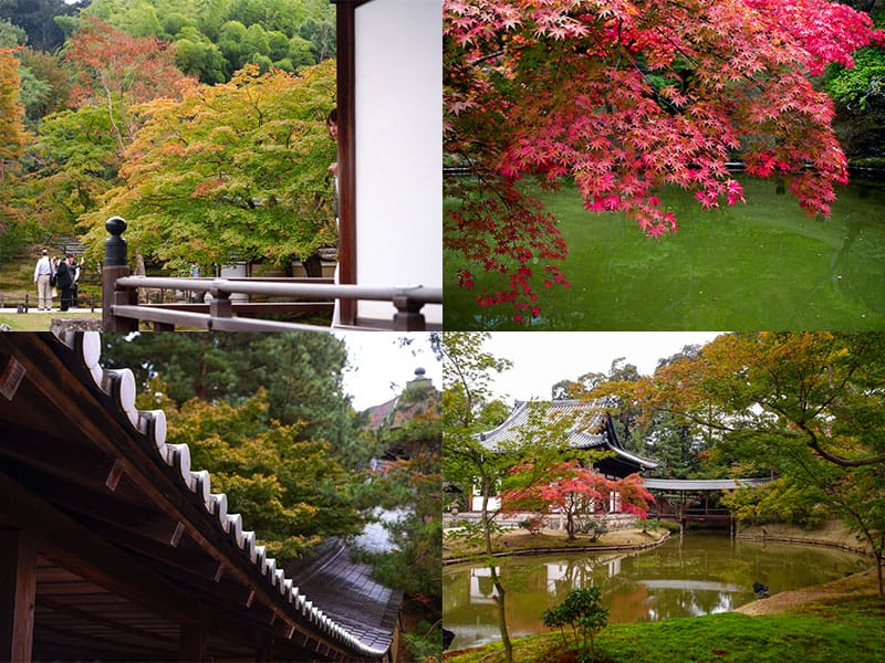 高台寺園林