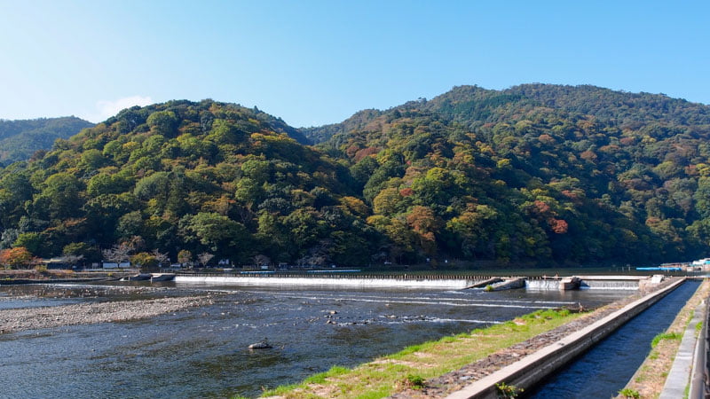 大堰川