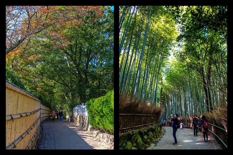 竹林小徑