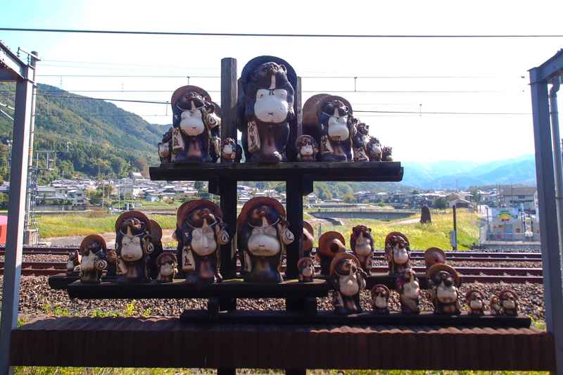 貍貓