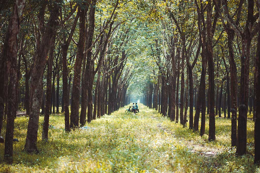 countryside daylight environment 1006116