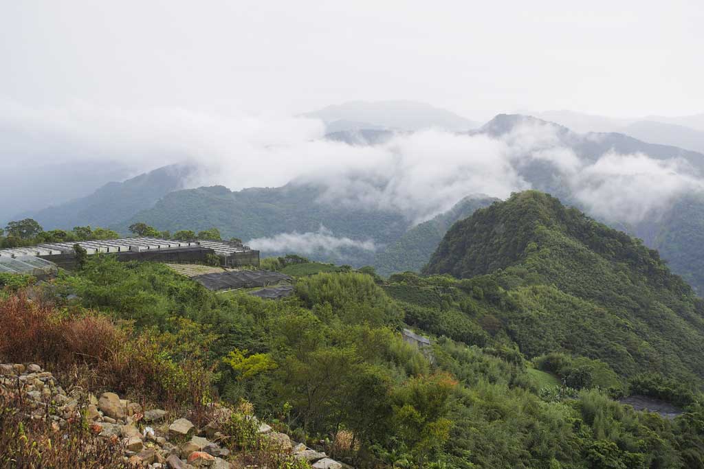 暴風雨過後的阿里山