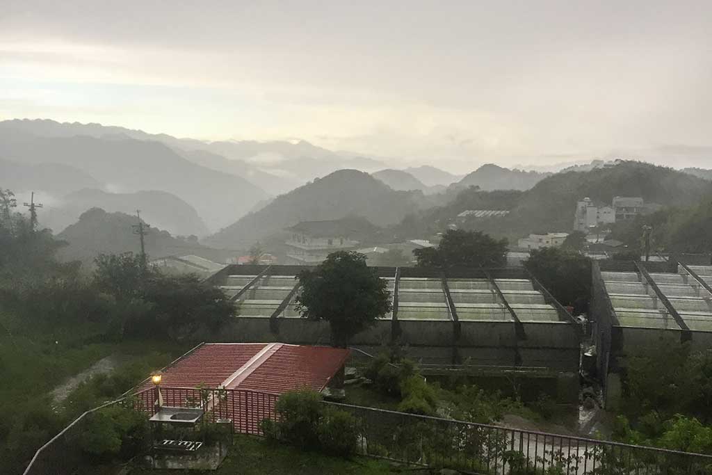 回首來時路...