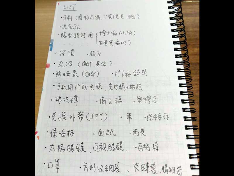 travel plan