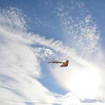 kite