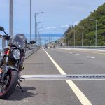 金崙大橋：Suzuki SFV650 Gladius