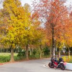 bike travel 13