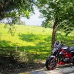 Suzuki SFV650 Gladius