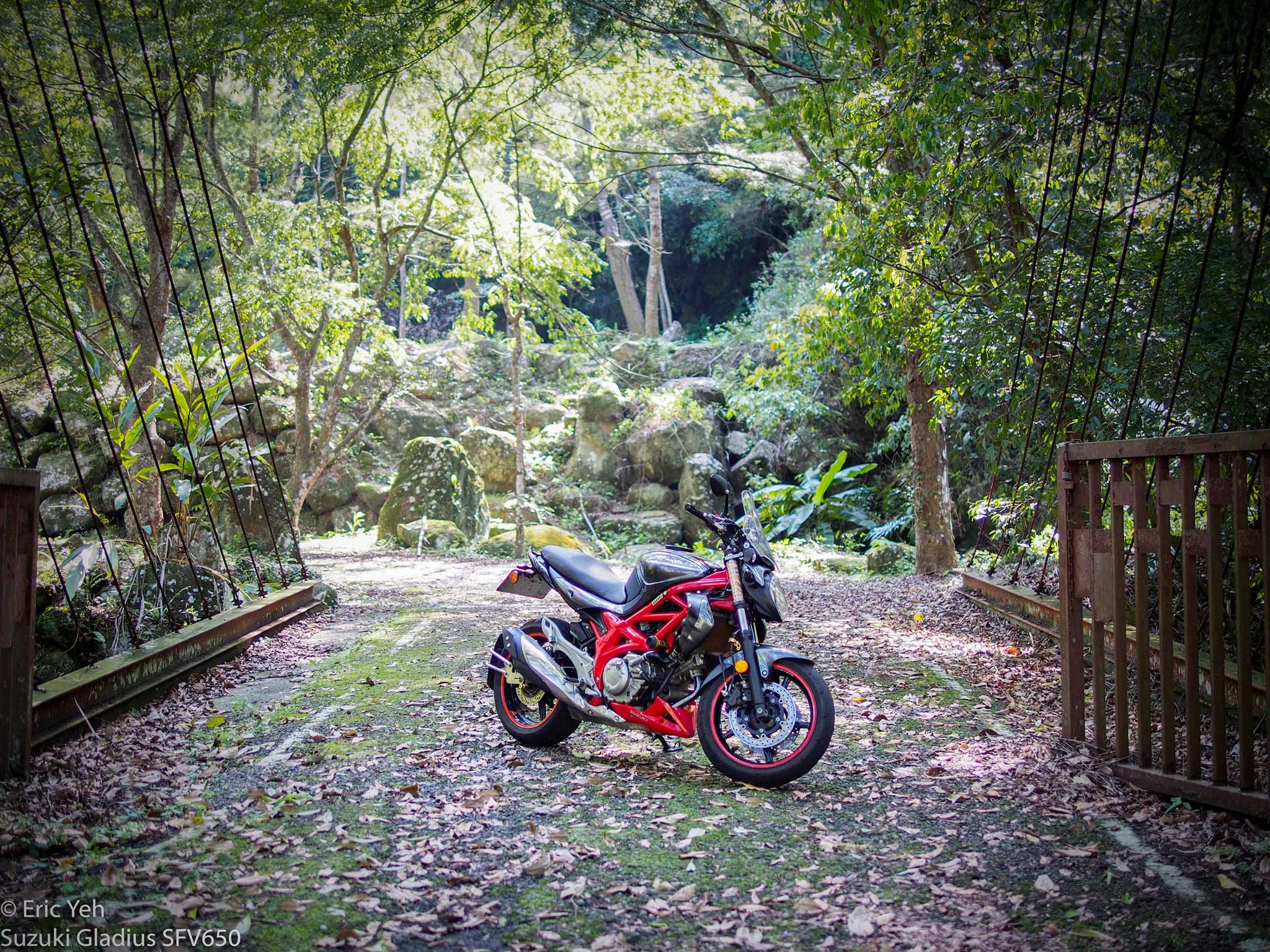 Suzuki Gladius SFV650 with GSX-R600 Rear Shock